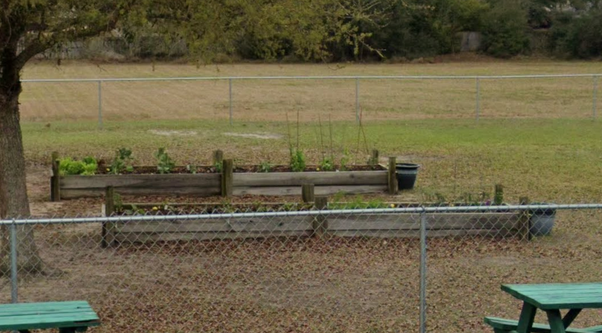 Photograph of the planterboxes still in use years later. Photo Copyright Google Maps.